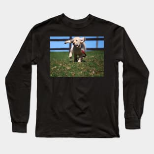 "Golden Retriever Puppy On The Run..." Long Sleeve T-Shirt